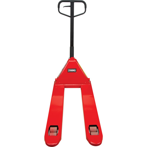 Manual Pallet Truck, Steel, 48" L x 21" W, 5500 lbs. Capacity R.M.G. Prévention