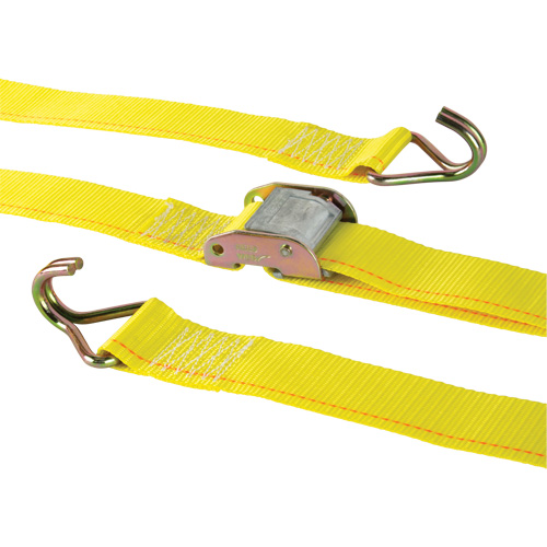 Tendeur d'arrimage &agrave; cliquet, Boucle &agrave; came, 2" la x 12' lo, Charge d'utilisation 500 lb (227 kg) R.M.G. Prévention
