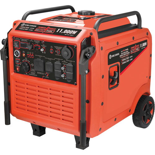 Tri-Fuel Inverter Generator R.M.G. Prévention