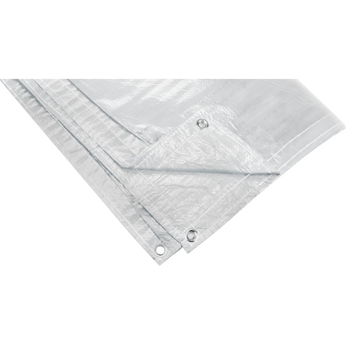 B&acirc;che isol&eacute;e, Poly&eacute;thyl&egrave;ne, Blanc, 20' x 12' x 8 mils R.M.G. Prévention