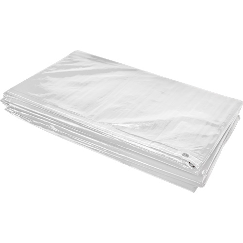 B&acirc;che isol&eacute;e, Poly&eacute;thyl&egrave;ne, Blanc, 20' x 12' x 8 mils R.M.G. Prévention
