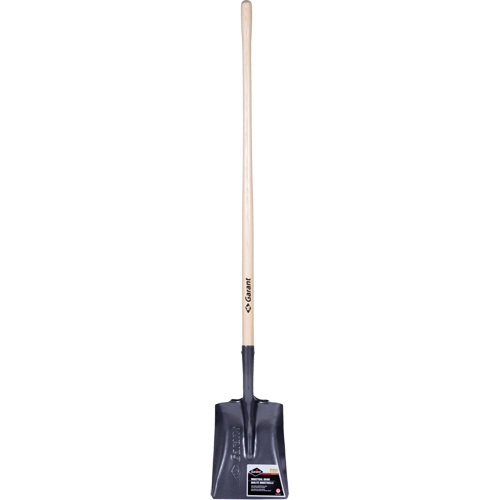 Pro Square Point Shovel, Wood, Tempered Steel Blade, Straight Handle, 48" Long R.M.G. Prévention