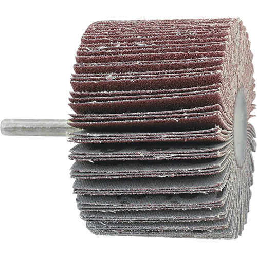 Disque &agrave; lamelles mont&eacute; sur mandrin, Grain A60, 2-1/2" x 1" x 1/4" R.M.G. Prévention