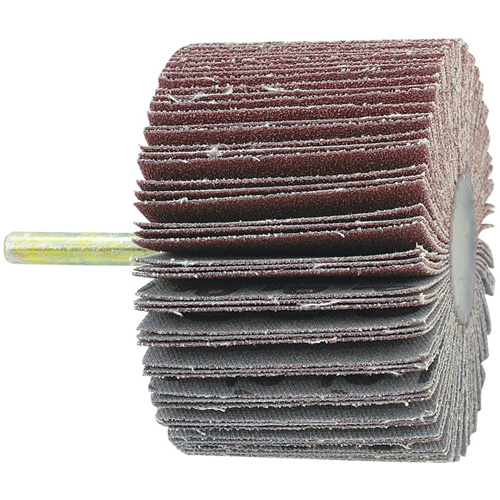 Disque &agrave; lamelles mont&eacute; sur mandrin, Grain 60, 1-1/2" x 1/4" R.M.G. Prévention