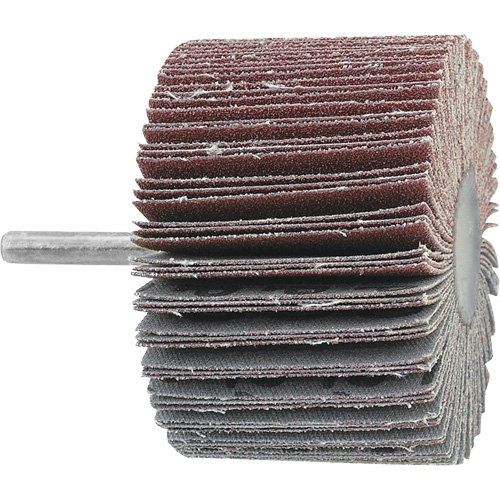 Disque &agrave; lamelles mont&eacute;, Grain 60, 3" x 1" x 1/4" R.M.G. Prévention