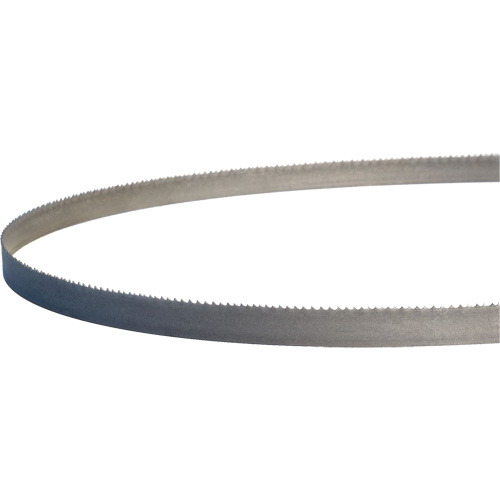 Lames de scie &agrave; ruban portatives Master-Band, Bim&eacute;tal, 18 Dents par pouce, 44-7/8" lo x 1/2" la R.M.G. Prévention