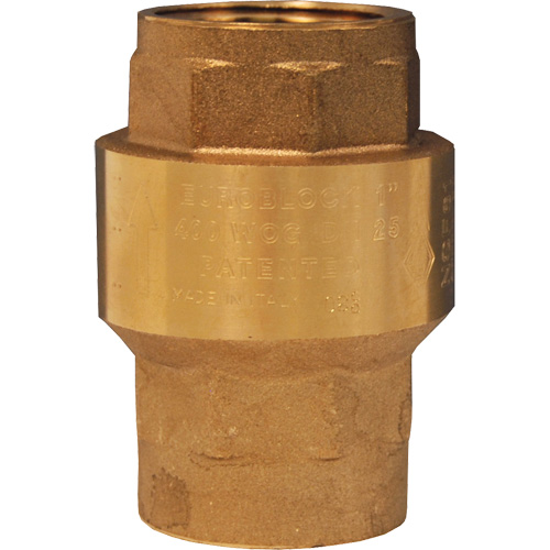 Horizontal Swing Check Valve R.M.G. Prévention