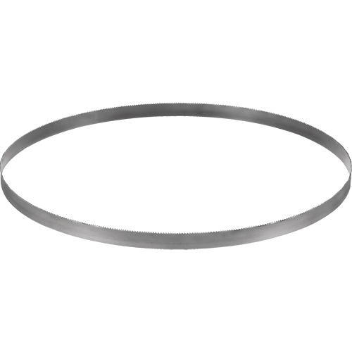 Lame de scie &agrave; ruban sans fil, Bim&eacute;tal, 32-7/8" lo x &eacute;paisseur 0,02", 14-18 dents par pouce R.M.G. Prévention