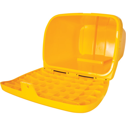 Salt & Sand Storage Bins, With Hasp, 21" x 27" x 26", 4.24 cu. ft., Yellow R.M.G. Prévention
