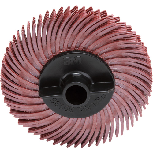 Scotch-Brite Radial Bristle Disc, RB-ZB, Ceramic, 220 Grit, 2" Dia. R.M.G. Prévention