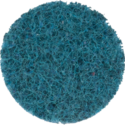 Scotch-Brite Roloc Surface Conditioning Disc, 1" Dia. R.M.G. Prévention