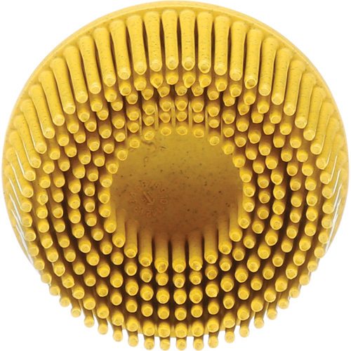Scotch-Brite Roloc Bristle Disc, Ceramic, Medium Grit, 2" Dia. R.M.G. Prévention