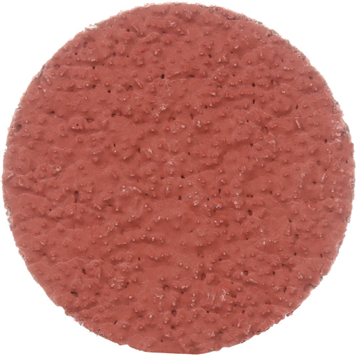 Cubitron II Roloc Durable Edge Disc, 2" Dia., 36+ Grit, Ceramic R.M.G. Prévention