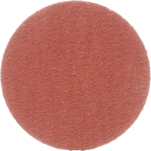 Disque &agrave; d&eacute;ligner durable II Roloc Cubitron, 2" dia., Grain 80+, C&eacute;ramique R.M.G. Prévention