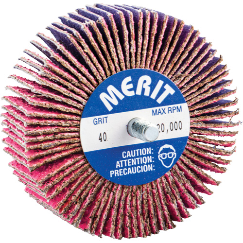 Threaded Mini Flap Wheel, Ceramic Alumina, 40 Grit, 3" x 1" x 1/4"-20 R.M.G. Prévention