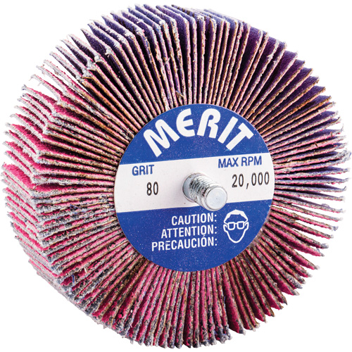 Threaded Mini Flap Wheel, Ceramic Alumina, 80 Grit, 3" x 1" x 1/4"-20 R.M.G. Prévention