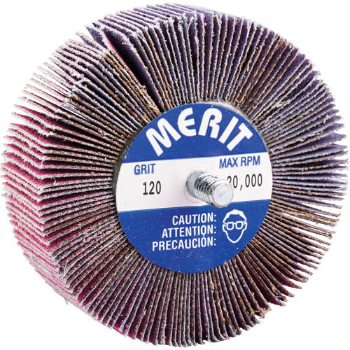 Threaded Mini Flap Wheel, Ceramic Alumina, 120 Grit, 3" x 1" x 1/4"-20 R.M.G. Prévention