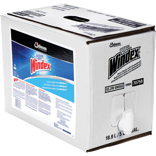 Windex&reg; Glass Cleaner with Ammonia-D&reg;, 5 gal., Bag R.M.G. Prévention