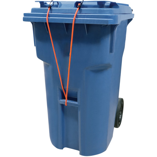 Bungee Cord Tie Downs, 12" R.M.G. Prévention