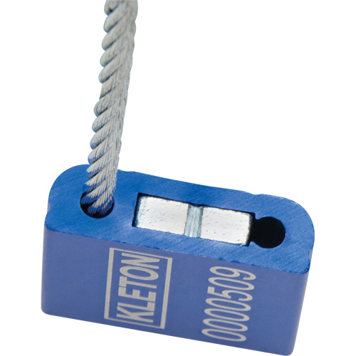 Scell&eacute;s de haute s&eacute;curit&eacute;, 12", M&eacute;tal, Scell&eacute; &agrave; c&acirc;ble R.M.G. Prévention