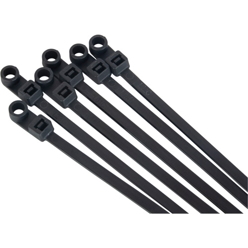 Screw-In Cable Tie, 8" Long, 50 lbs. Tensile Strength, Black R.M.G. Prévention