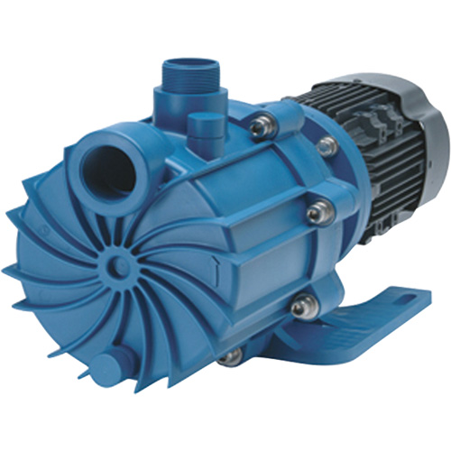 Self-Priming Magnetic Drive Pump with Carbon Bushing R.M.G. Prévention