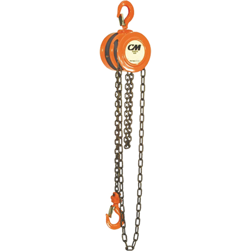 Chain Hoist, 10' Lift, 1000 lbs. (0.5 tons) Capacity, Steel Chain R.M.G. Prévention