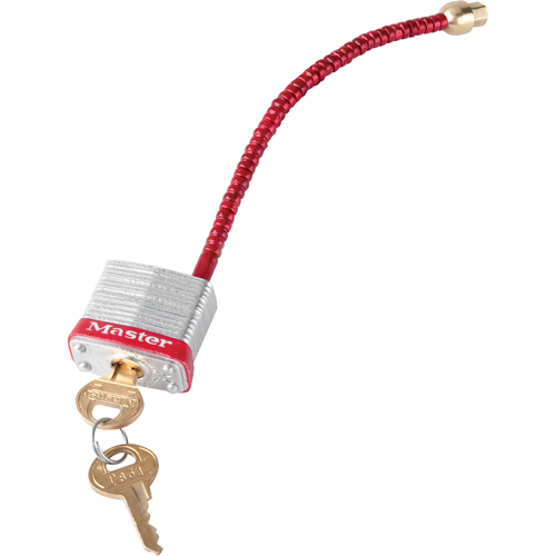 Switch Padlocks, Wall Switch Type R.M.G. Prévention