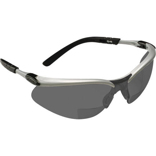 BX Reader Safety Glasses, Anti-Fog, Grey/Smoke, 2.5 Diopter R.M.G. Prévention