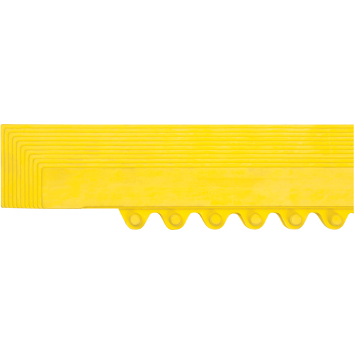 Rampe de bordure pour tapis R.M.G. Prévention