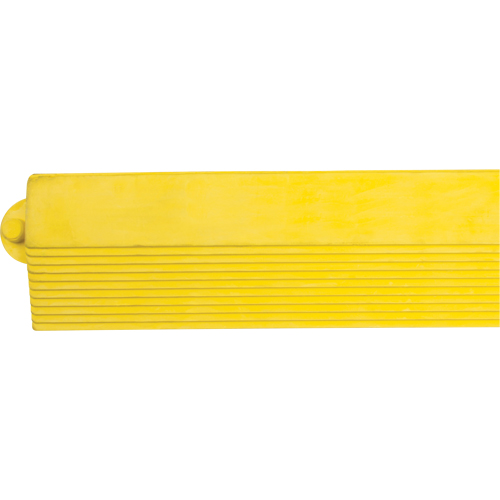 Rampe de bordure pour tapis R.M.G. Prévention