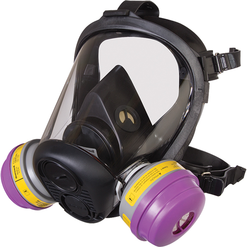 Respirateur &agrave; masque complet de s&eacute;rie RU6500 de North, Silicone, Grand R.M.G. Prévention