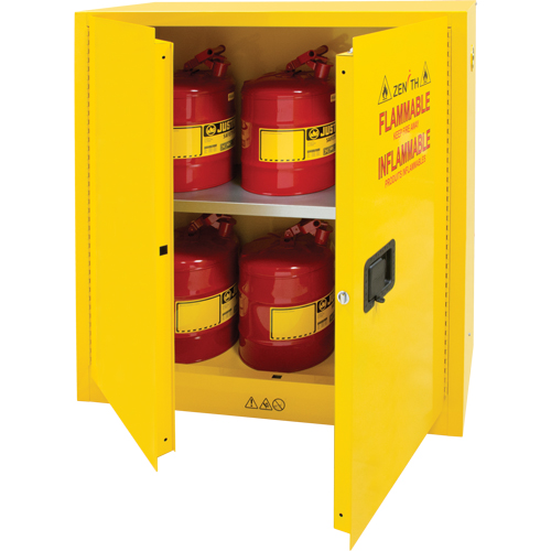 Flammable Storage Cabinet, 30 gal., 2 Door, 43" W x 44" H x 18" D R.M.G. Prévention