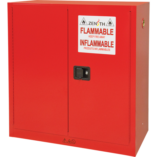 Paint/Ink Cabinet, 45 gal., 3 Shelves R.M.G. Prévention