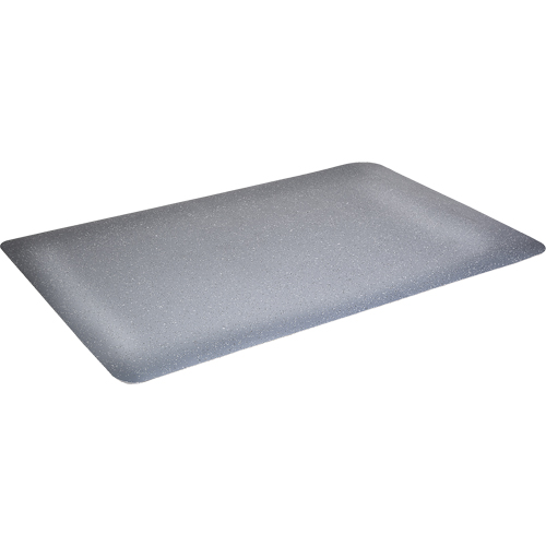 Tapis antimicrobiens WD Foodmaster, Lisse, 3' x 4' x 9/16", Gris, Mousse de vinyle R.M.G. Prévention