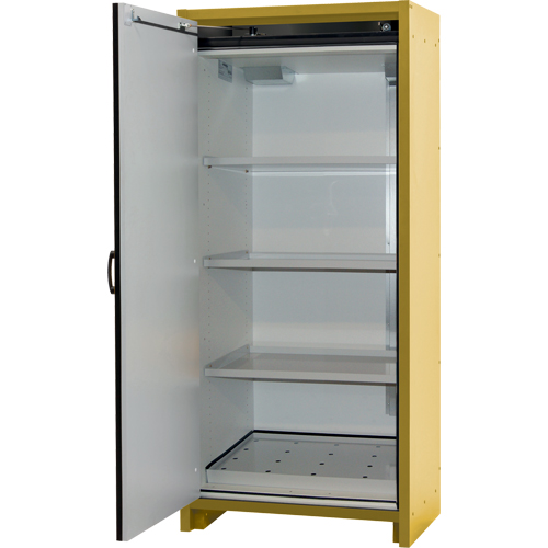 Armoire d'entreposage 30 minutes s&eacute;curitaire et conforme &agrave; la norme EN, 30 gal., 1 Porte(s), 34,02" La x 76,65" h x 24,21" p R.M.G. Prévention