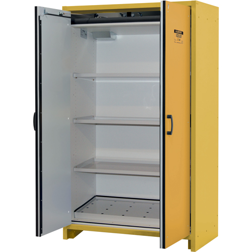 30-Minute EN Safety Storage Cabinet, 45 gal., 2 Door, 45.83" W x 76.65" H x 24.21" D R.M.G. Prévention