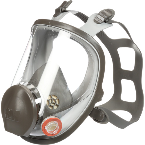 6000 Series Full Facepiece Reusable Respirator, Elastomer/Silicone/Thermoplastic, Small R.M.G. Prévention