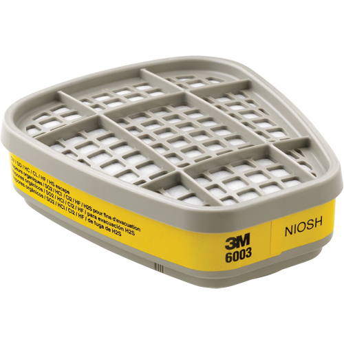 Cartouches pour respirateur s&eacute;rie 6000, Cartouche gaz/vapeur, Vapeurs organiques/Gaz acides R.M.G. Prévention