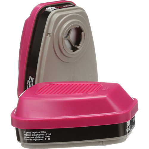 Cartouches pour respirateur s&eacute;rie 6000, Cartouche gaz/vapeur, Vapeurs organiques/P100 R.M.G. Prévention