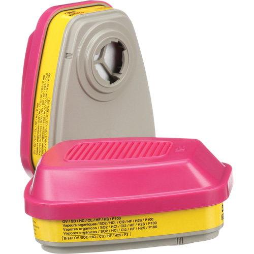 Cartouches pour respirateur s&eacute;rie 6000, Cartouche gaz/vapeur, Vapeurs organiques/Gaz acides/P100 R.M.G. Prévention