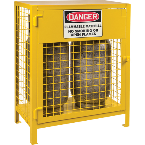 Gas Cylinder Cabinets, 2 Cylinder Capacity, 30" W x 17" D x 37" H, Yellow R.M.G. Prévention