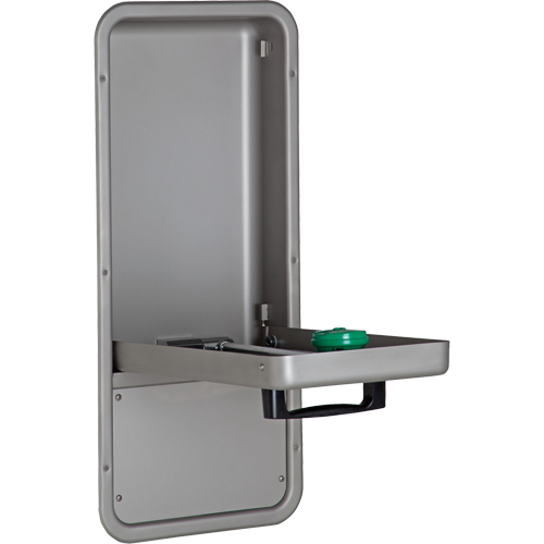 Eye/Face Wash Station, Wall-Mount Installation, Stainless Steel Bowl R.M.G. Prévention