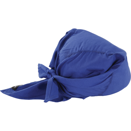 Foulards de refroidissement en triangle Chill-Its 6710CT, Bleu R.M.G. Prévention
