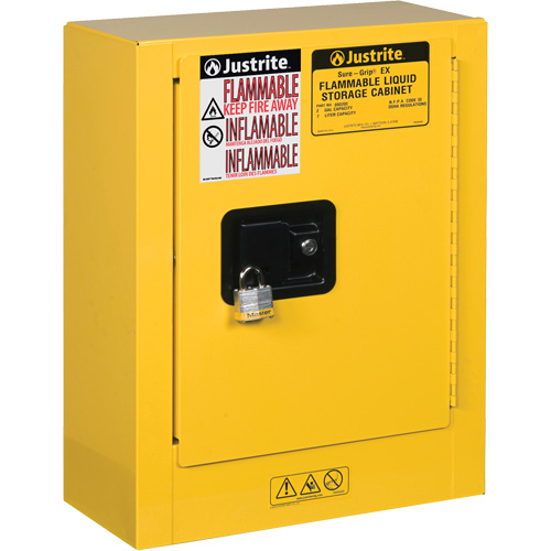 Sure-Grip&reg; EX Mini Flammable Safety Cabinet, 2 Gal., 1 Door, 17" W x 22" H x 8" D R.M.G. Prévention