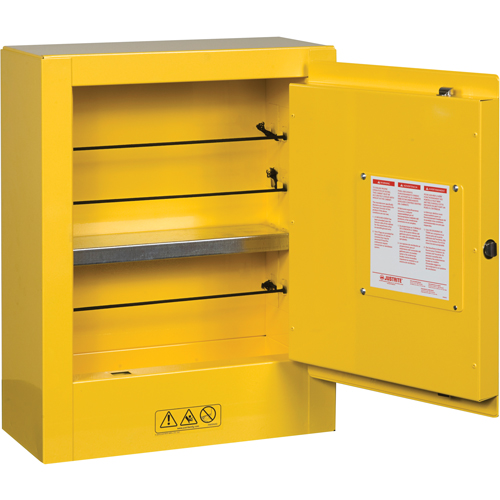 Sure-Grip&reg; EX Mini Flammable Safety Cabinet, 2 Gal., 1 Door, 17" W x 22" H x 8" D R.M.G. Prévention