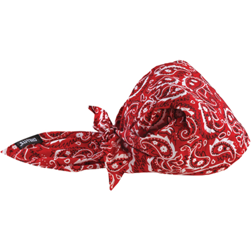 Chill-Its&reg; 6710CT Cooling Triangle Hats, Red R.M.G. Prévention