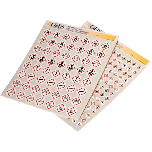 GHS Hazard Pictogram Label Variety Packs, Vinyl, Sheet, 1/2" L x 1/2" W R.M.G. Prévention