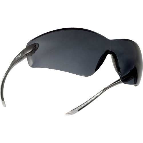 Lunettes de s&eacute;curit&eacute; Cobra, Lentille Grise/fum&eacute;e, Antibu&eacute;e/Anti-&eacute;gratignures, R&eacute;pond ou surpasse la norme CSA Z94.3 R.M.G. Prévention