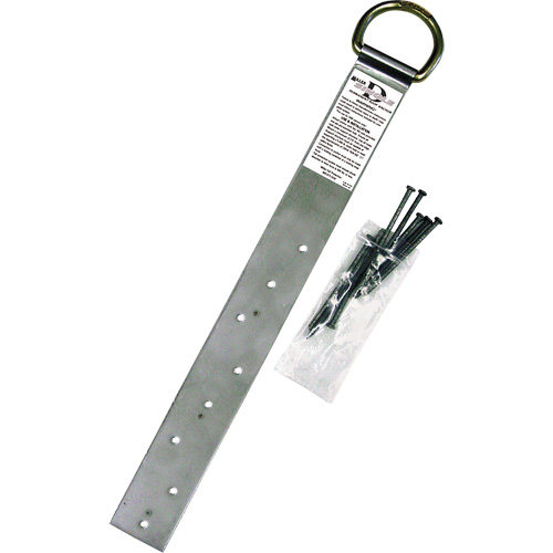 Miller&reg; Single Roof Anchor, D-Ring, Permanent Use R.M.G. Prévention